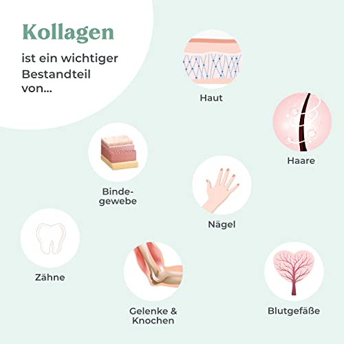 COSPHERA Vegan Collagen – Übersicht zu Kollagen mit Darstellungen von Haut, Bindegewebe, Knochen, Gelenken und Zähnen