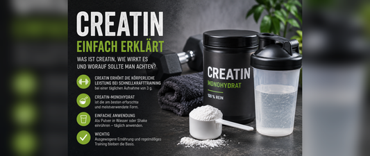 Creatin einfach erklärt: Was steckt hinter dem beliebten Fitness-Supplement?