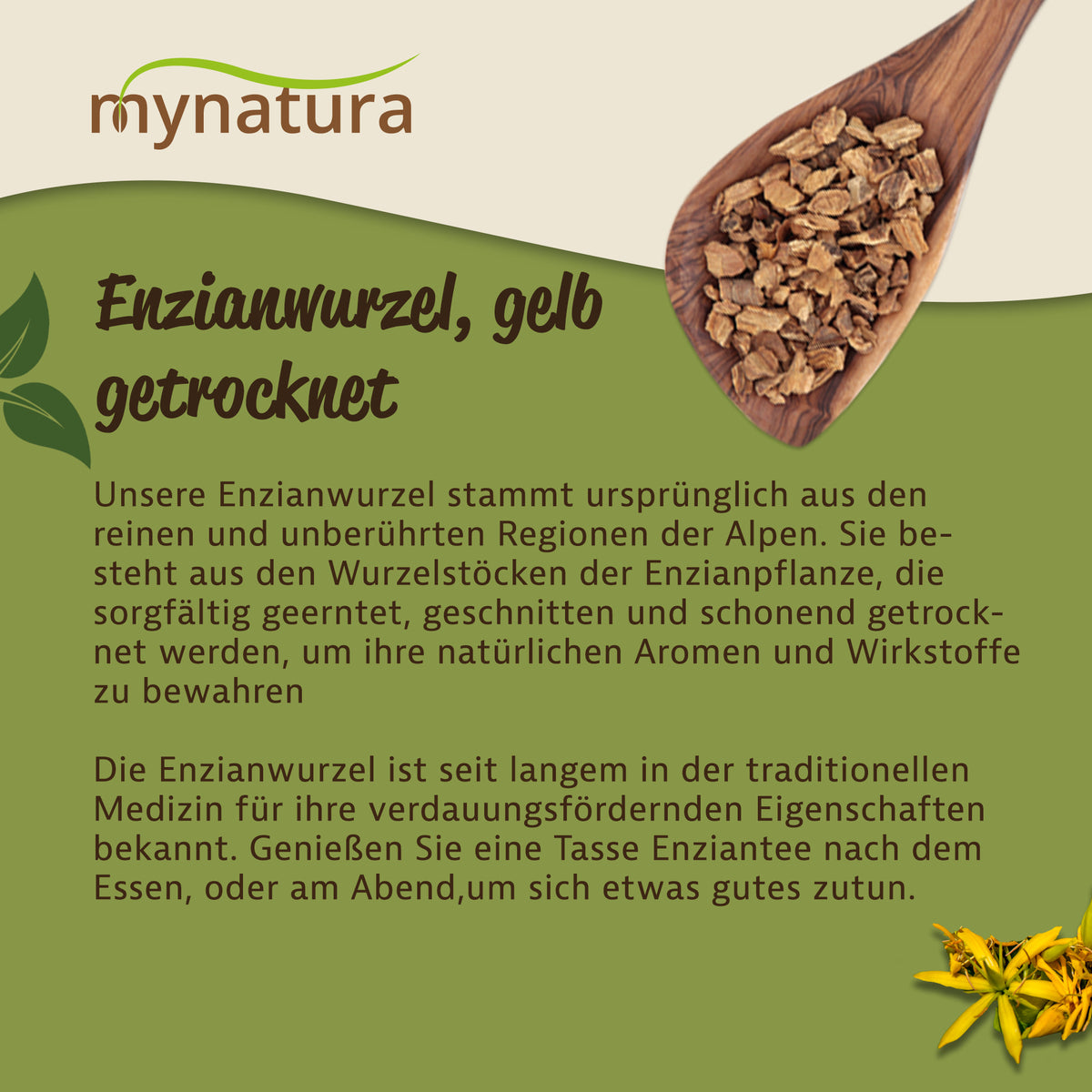 Mynatura gelbe Enzianwurzel - getrocknet und geschnitten - 100g — Abbildung 3