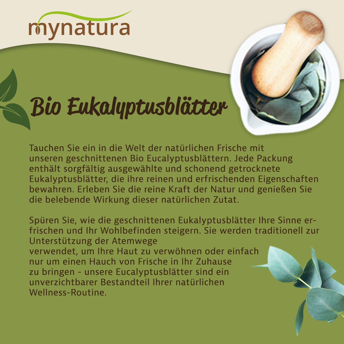 Mynatura Bio Eukalyptusblätter geschnitten und getrocknet – in verschiedenen Größen — Abbildung 3