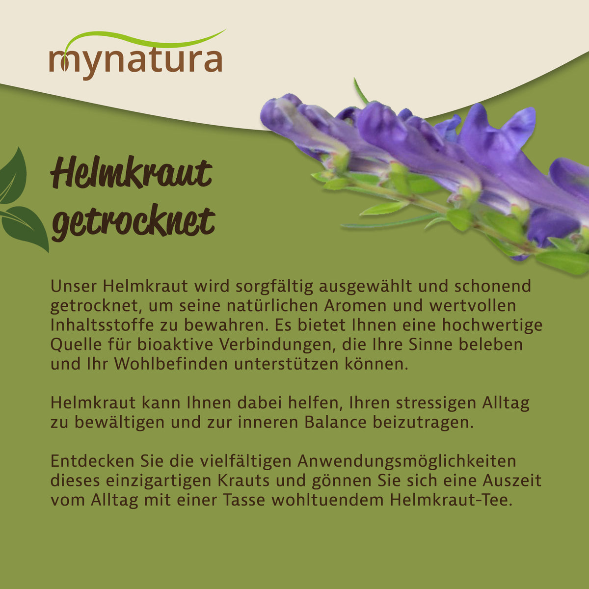 Mynatura Helmkraut getrocknet & geschnitten –  in verschiedenen Größen — Abbildung 3