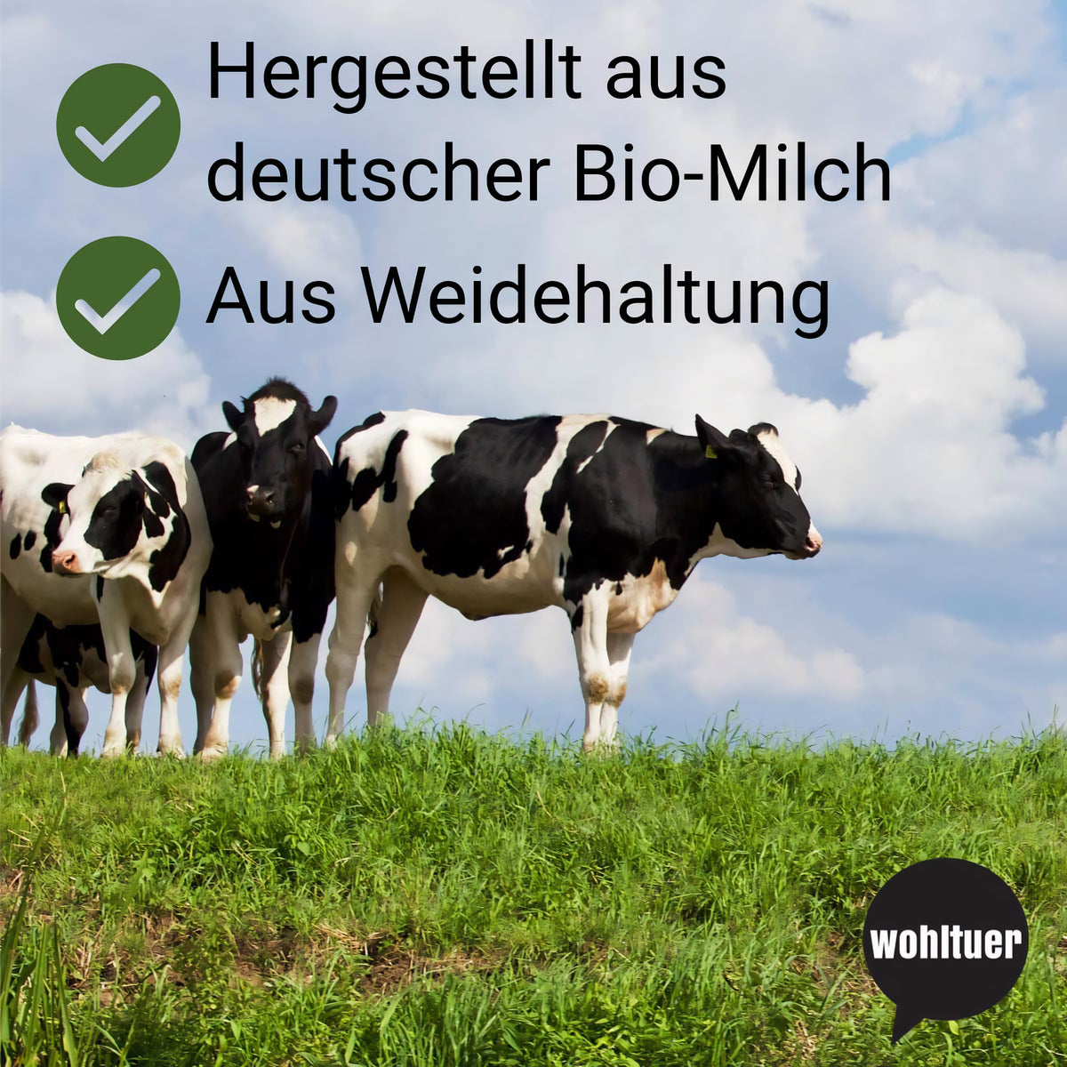Mehrere Kühe auf grüner Weide unter blauem Himmel, Text verweist auf wohltuer Vollmilchpulver aus deutscher Bio-Milch.