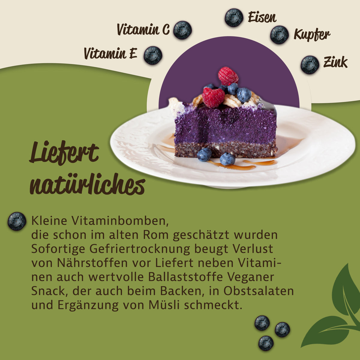 Stück Heidelbeer-Kuchen auf weißem Teller, dekoriert mit gefriergetrockneten Wildheidelbeeren und anderen Früchten, als Snack oder Zutat fürs Frühstück.