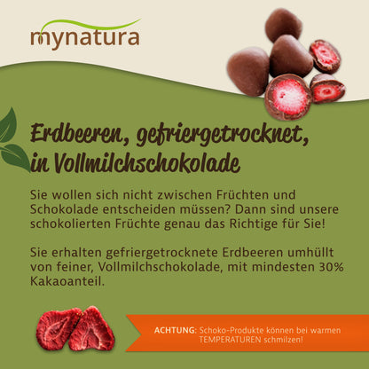 Mynatura gefriergetrocknete Erdbeeren in Vollmilchschokolade - ab 1000g - fit and life shop