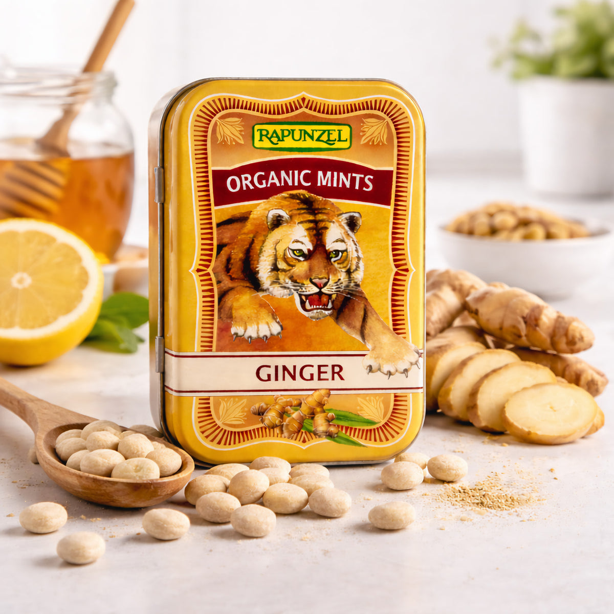 Rapunzel Organic Mints Ginger HIH (50g) - fit and life shop