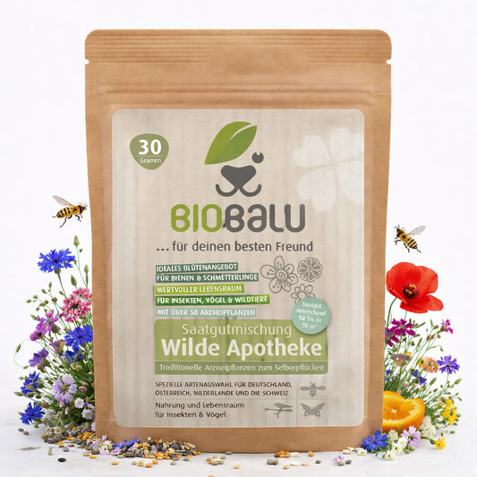 Biobalu Wilde Apotheke - 50 traditionelle Heilkräuter Samen 30g
