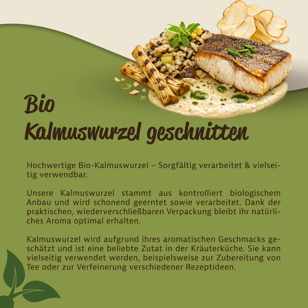 Mynatura Bio Kalmuswurzel getrocknet & geschnitten – in verschiedenen Größen — Abbildung 3