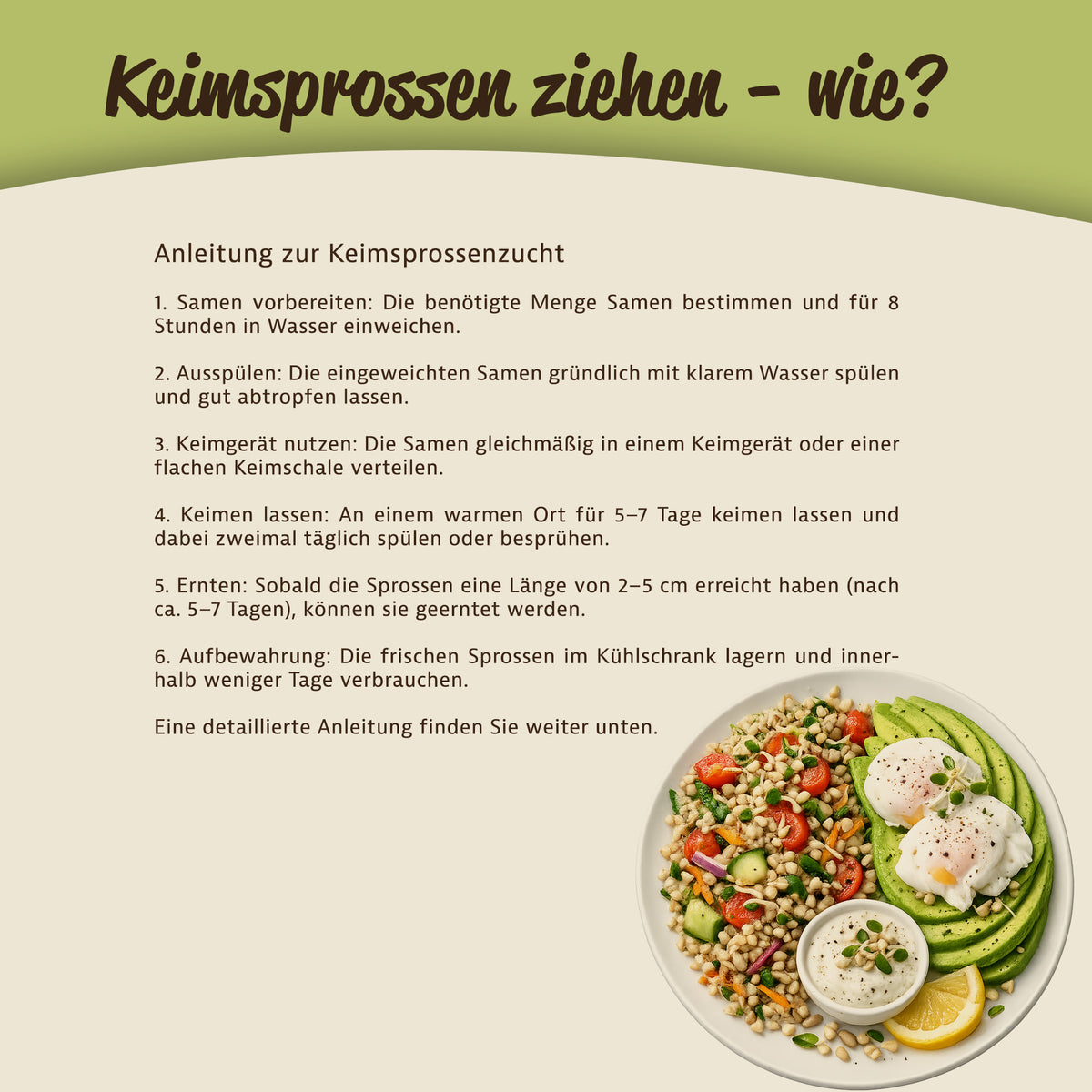 Mynatura Bio Keimsprossen Buchweizen - 500g — Abbildung 5