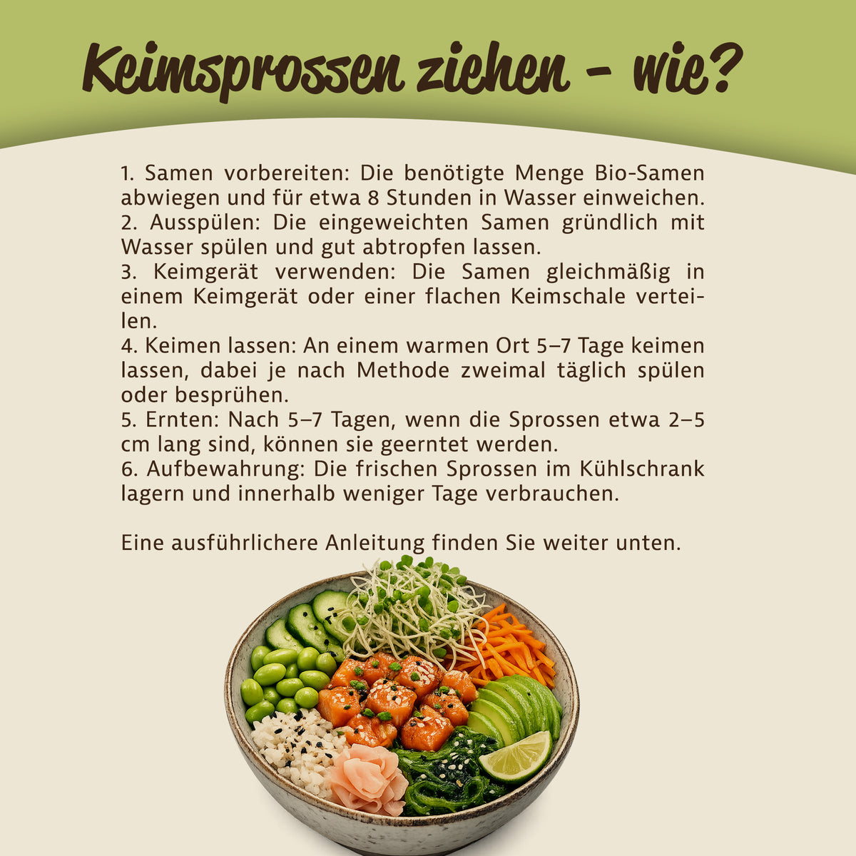 Mynatura Bio Daikon-Rettich Keimsprossen - 500g — Abbildung 5