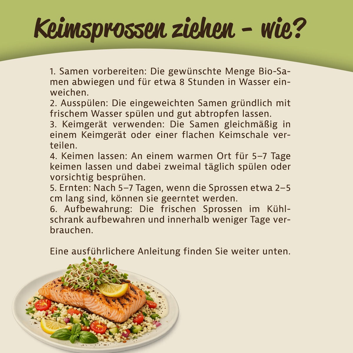 Mynatura Leinsamen Keimsprossen - 500g — Abbildung 5