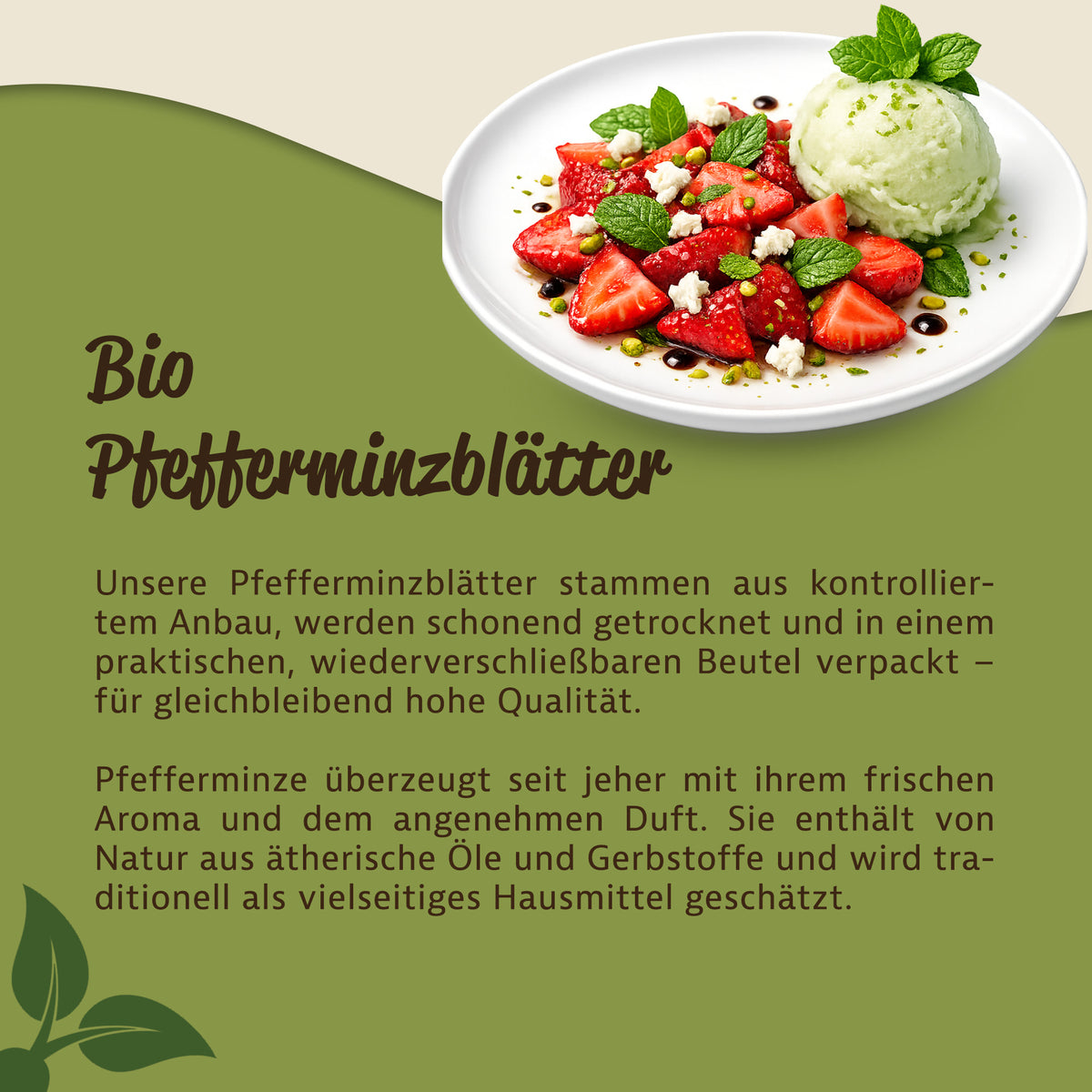 Mynatura Bio Pfefferminzblätter getrocknet - in verschiedenen Größen — Abbildung 3