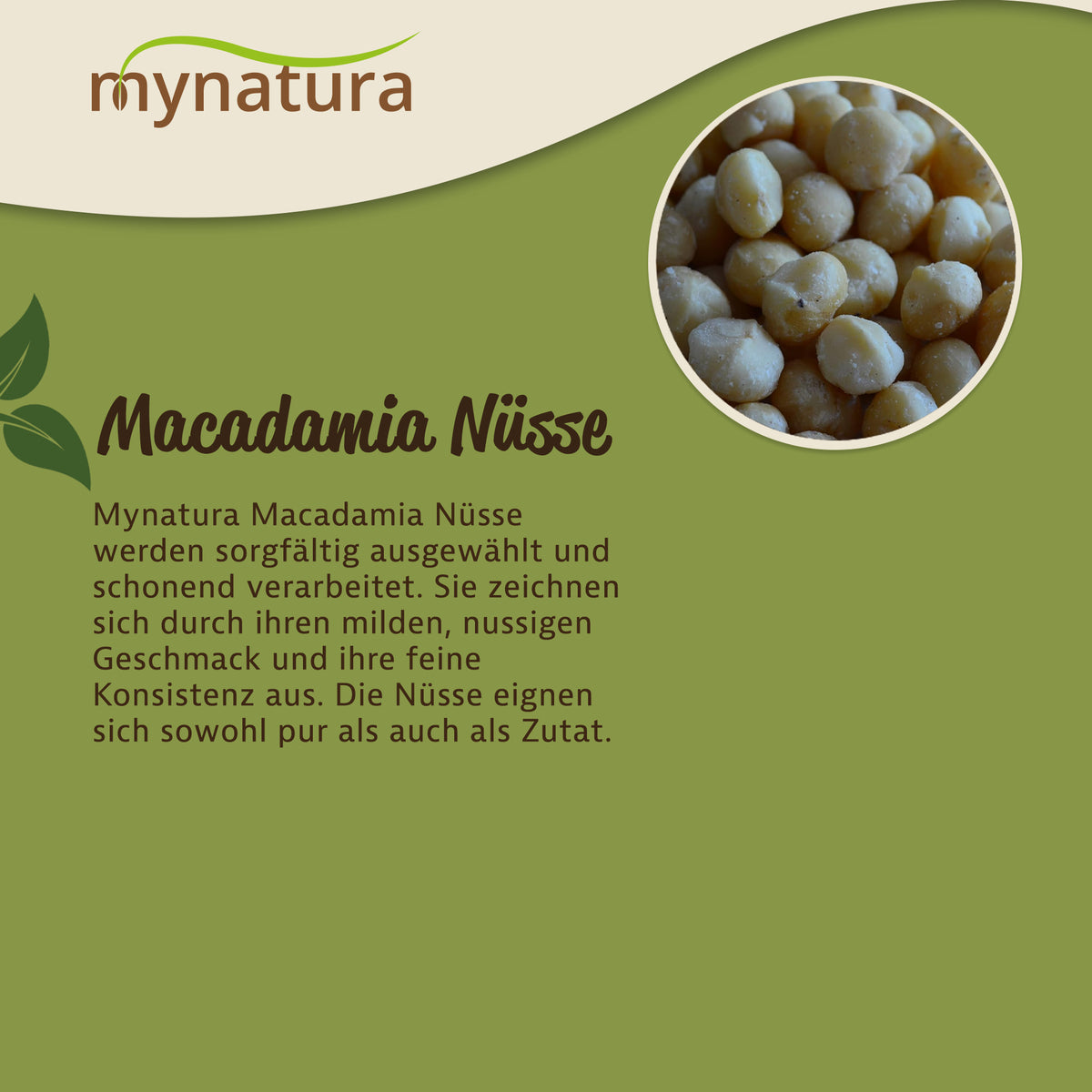 Mynatura Macadamia-Kerne - (500g) — Abbildung 3