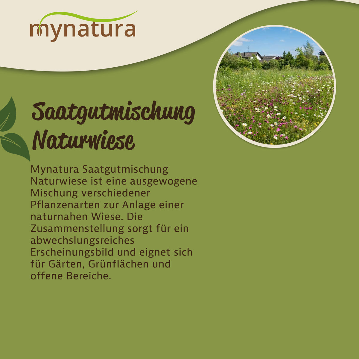 Mynatura Saatgutmischung Naturwiese - 50g — Abbildung 3