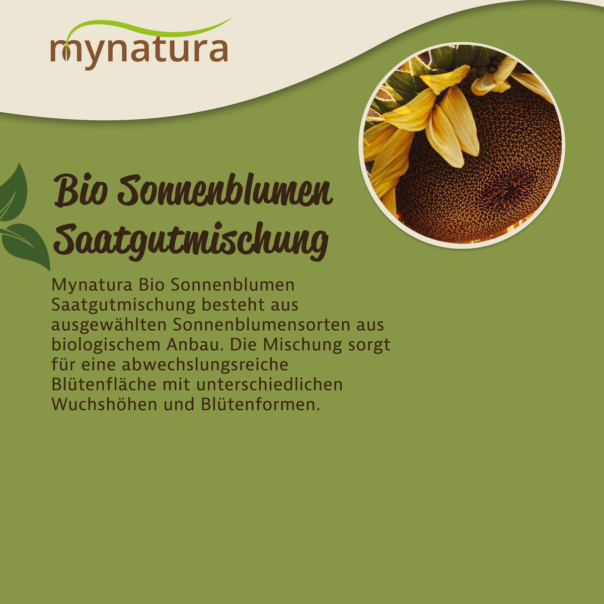 Mynatura Bio Sonnenblumen Saatgutmischung - 3g — Abbildung 3