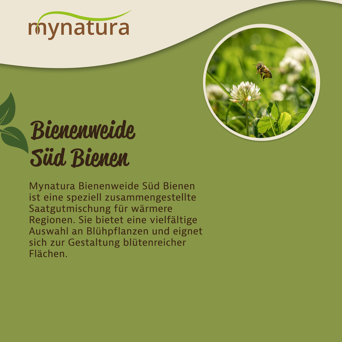 Mynatura Bienenweide Süd Bienen Saatgut 50g — Abbildung 3