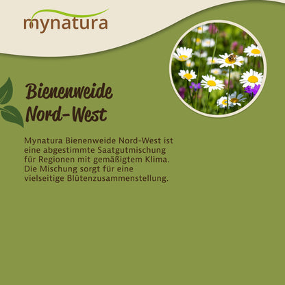 Mynatura Bienenweide Nord-West Saatgut 50g — Abbildung 3