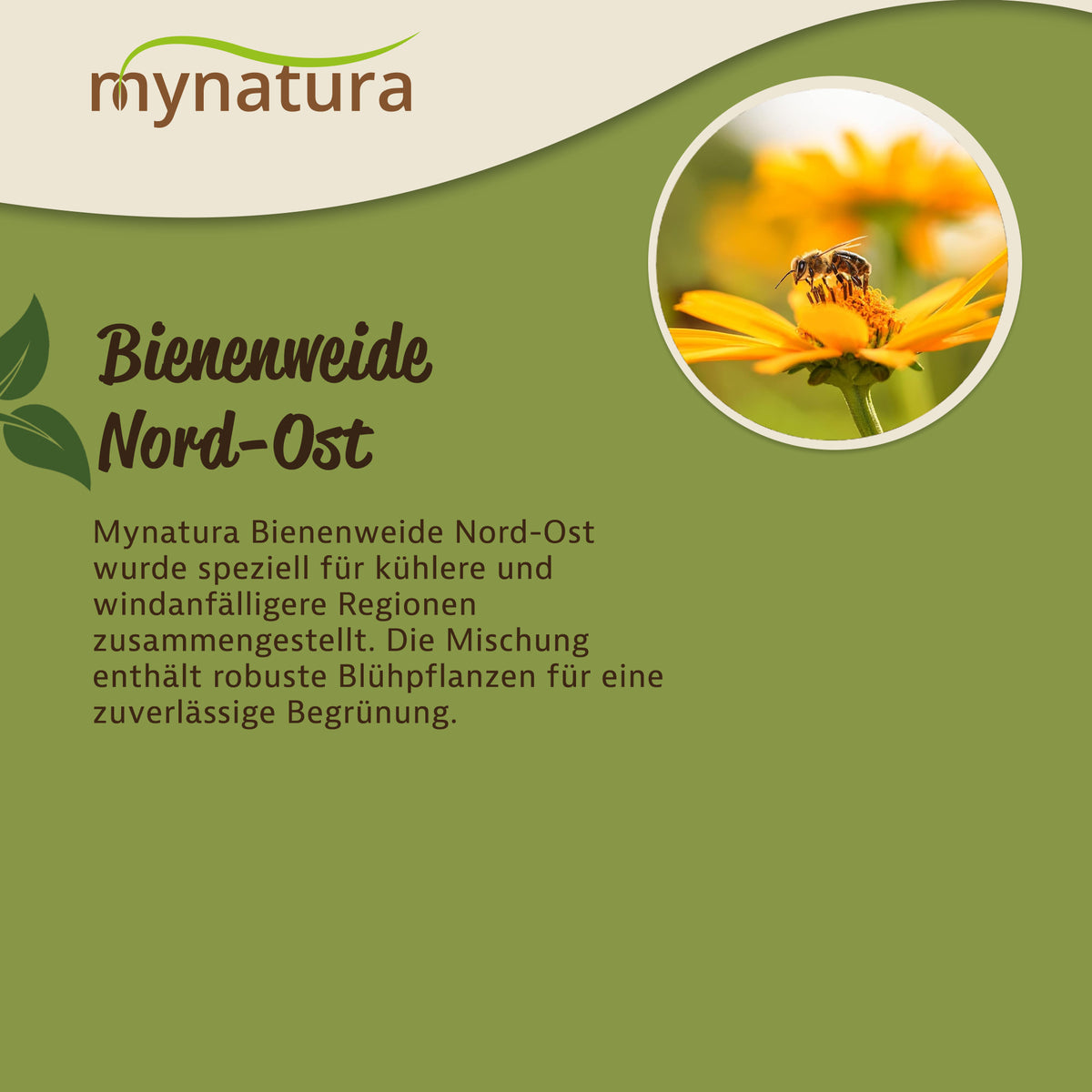 Mynatura Bienenweide Nord-Ost - 50g — Abbildung 3