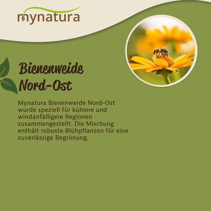 Mynatura Bienenweide Nord-Ost - 50g — Abbildung 3
