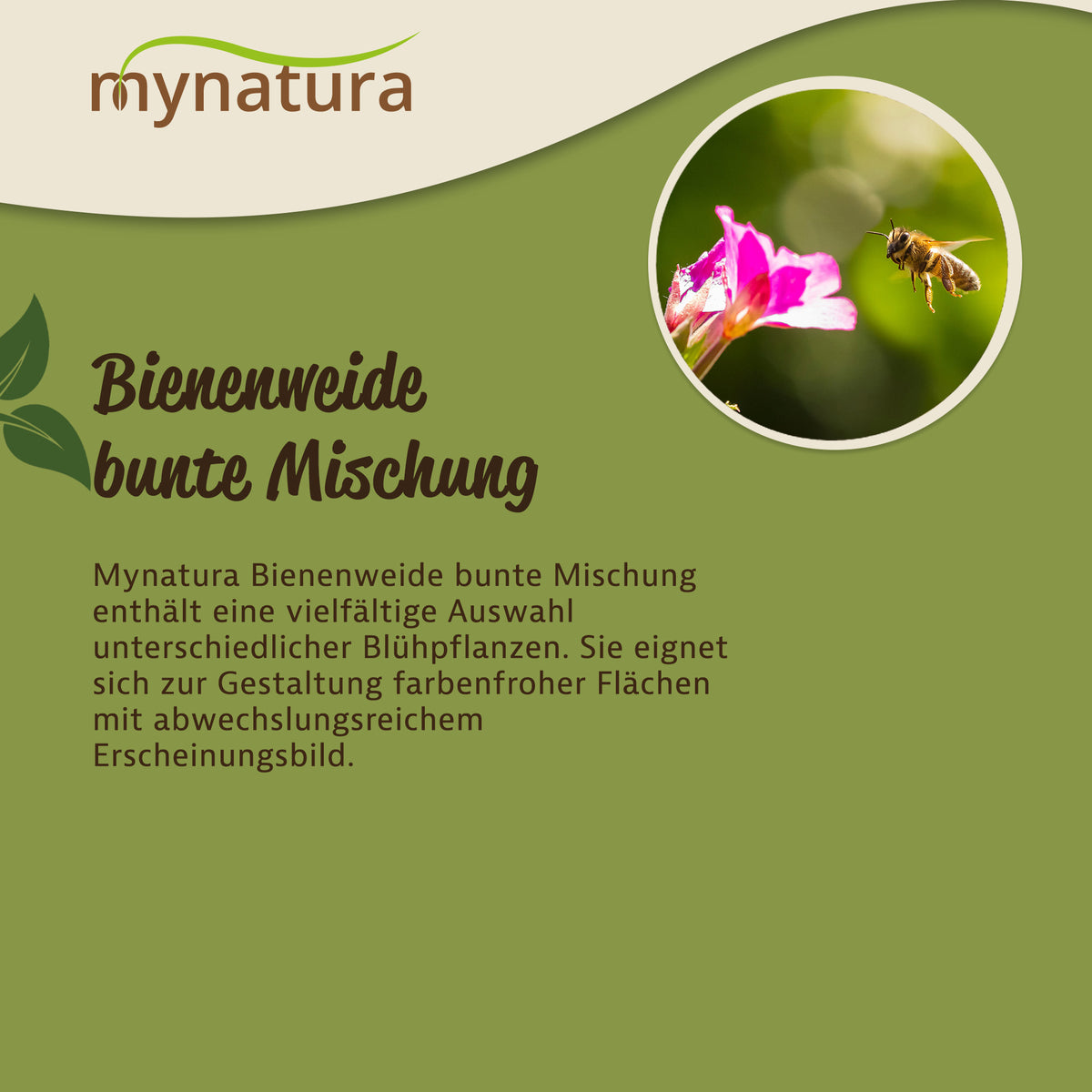 Mynatura Bienenweide Bunte Mischung Saatgut 50g — Abbildung 3
