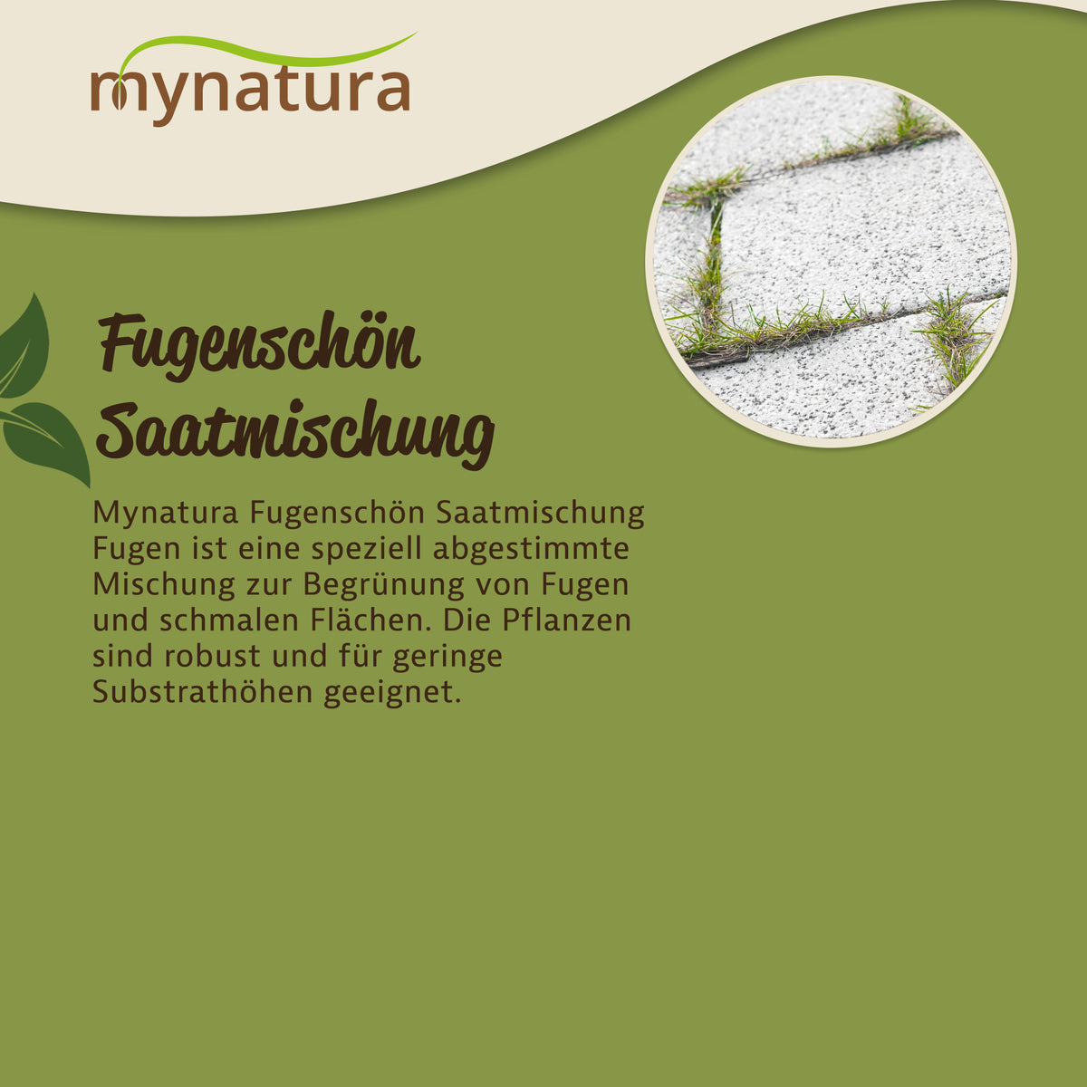 Mynatura Fugenschön Saatmischung für Fugen - (3g) — Abbildung 3