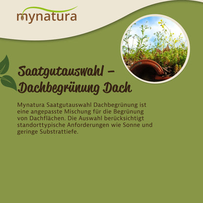 Mynatura Saatgutauswahl – Dachbegrünung 10g — Abbildung 3
