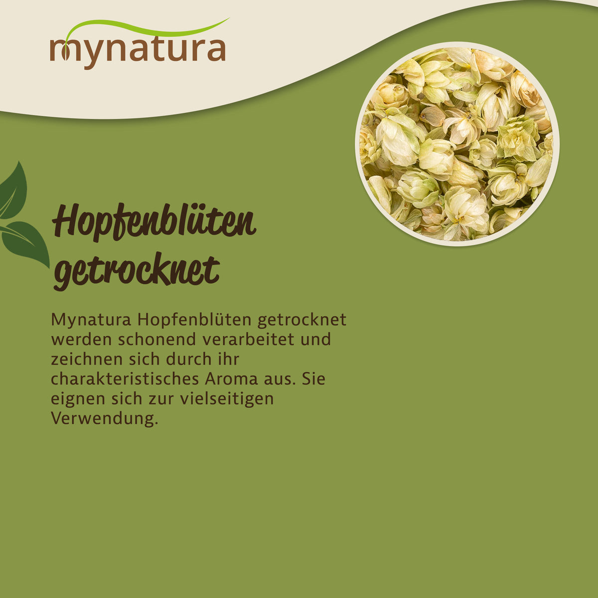 Nahaufnahme getrocknet geschnittener hopfenblüten von Mynatura in einer runden Ansicht, präsentiert als kräuter mit natürlichen nährstoffen und vitaminen.