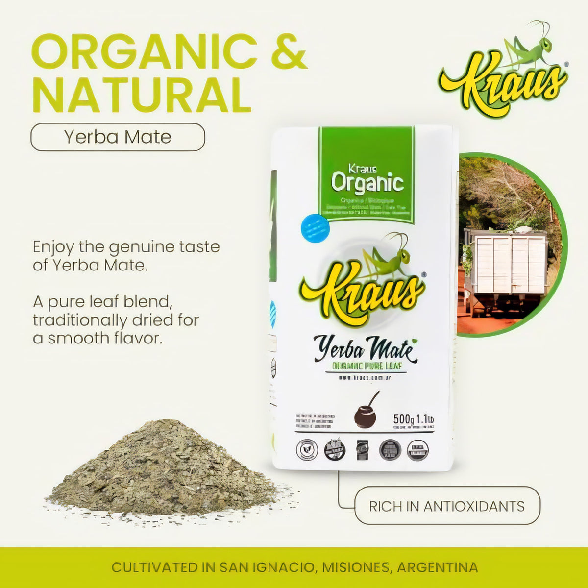 Bio Mate Tee Kraus Pure Leaf Organic 500g Packung mit losem Tee davor, daneben rundes Bild einer Trocknungsanlage, Text und Siegel im Hintergrund.