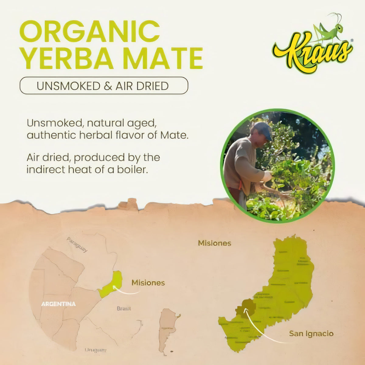 Karte von Argentinien mit markierter Region Misiones, oben rechts rundes Foto einer Person bei der Ernte von Kraus Mate Tee ohne Stängel.
