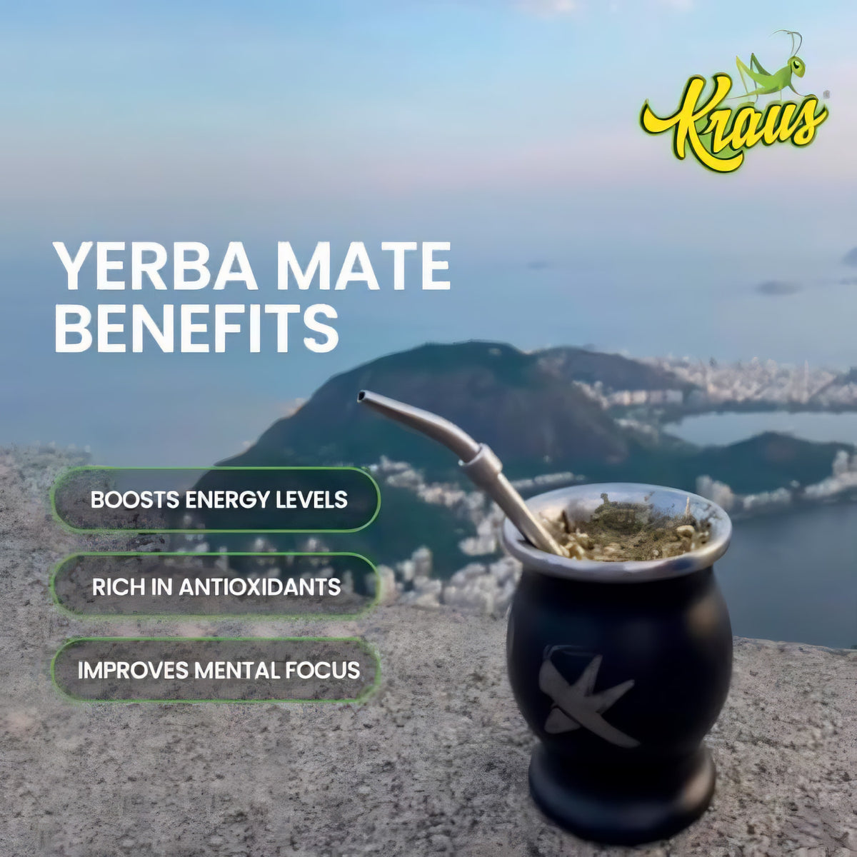 Mate-Becher mit Kraus Pure Leaf Organic Kräutertee auf einer Mauer, im Hintergrund Panorama einer Stadt und Wasser, Fokus auf den Becher.