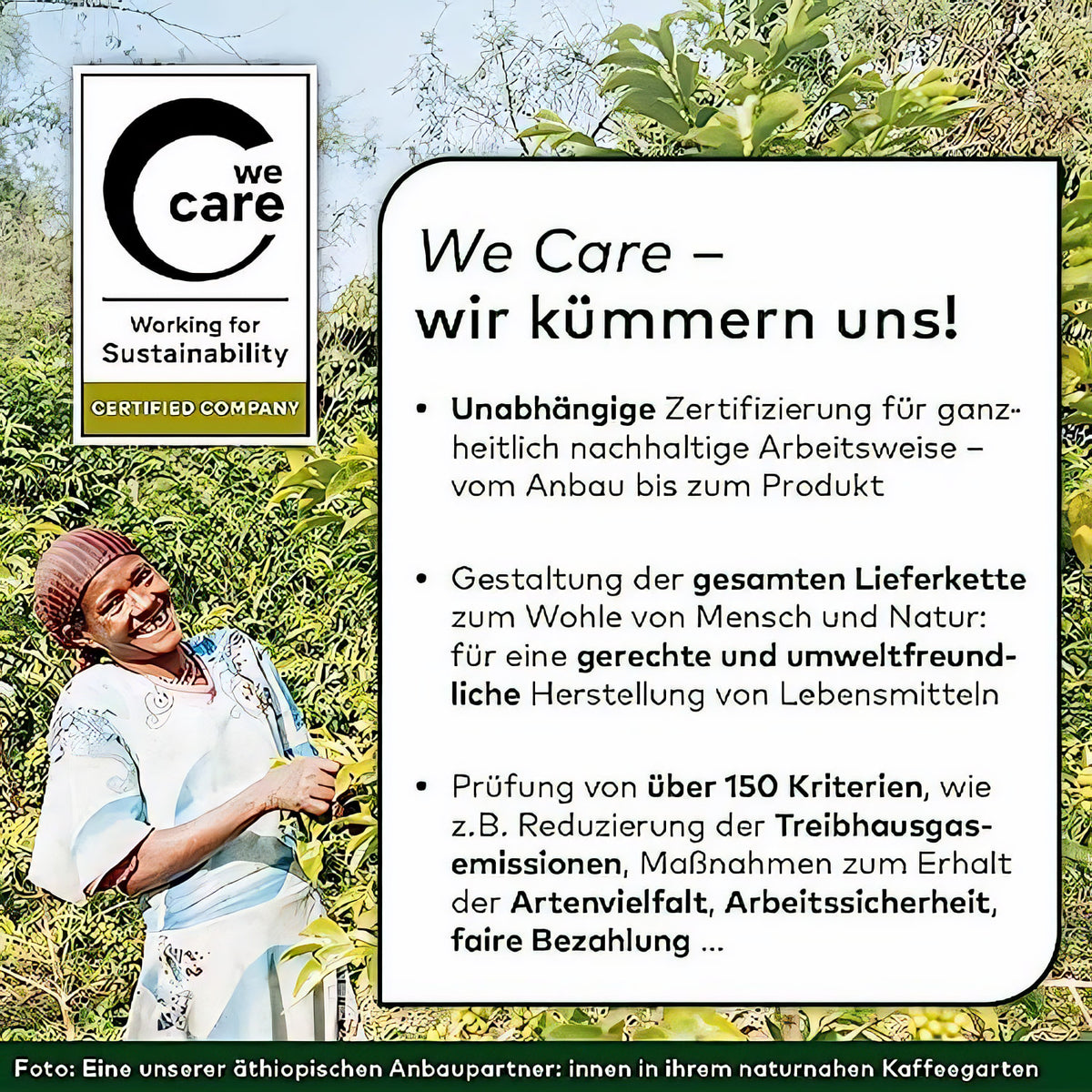 LEBENSBAUM English Breakfast, Bio-Schwarztee mit aromatisch-kräftigem Geschmack, 20 Teebeutel à 2 g, 40 g — Abbildung 5