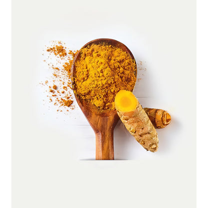 LEBENSBAUM Kurkuma (Gelbwurz), gemahlen, Bio-Gewürz für Reisgerichte, Currys, Chutneys & Smoothies, 50 g — Abbildung 4