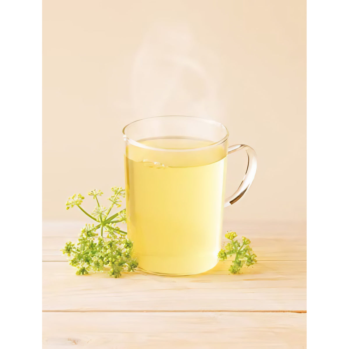 LEBENSBAUM BIO Fenchel loser Tee im Beutel 150g — Abbildung 3