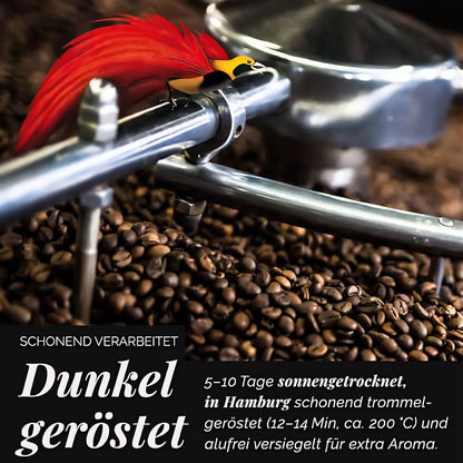 Dunkel geröstete ganze Bohnen von Mount Hagen in einer Rösttrommel mit Metallarm und Vogel-Illustration.