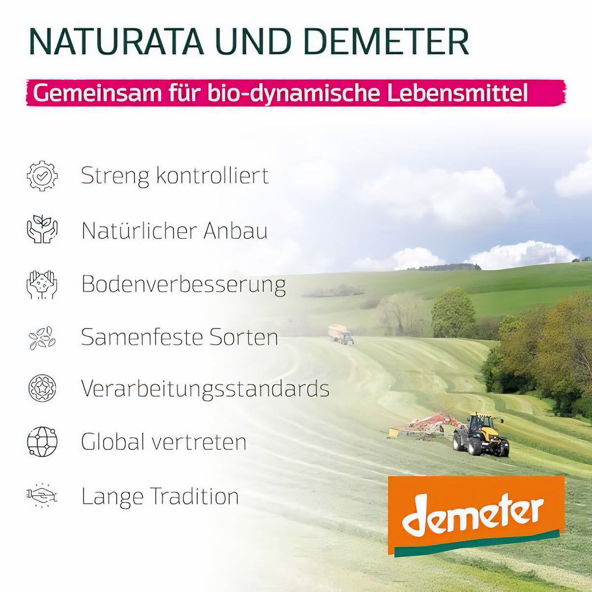 Naturata Atlantik Meersalz - Grob 500g — Abbildung 3