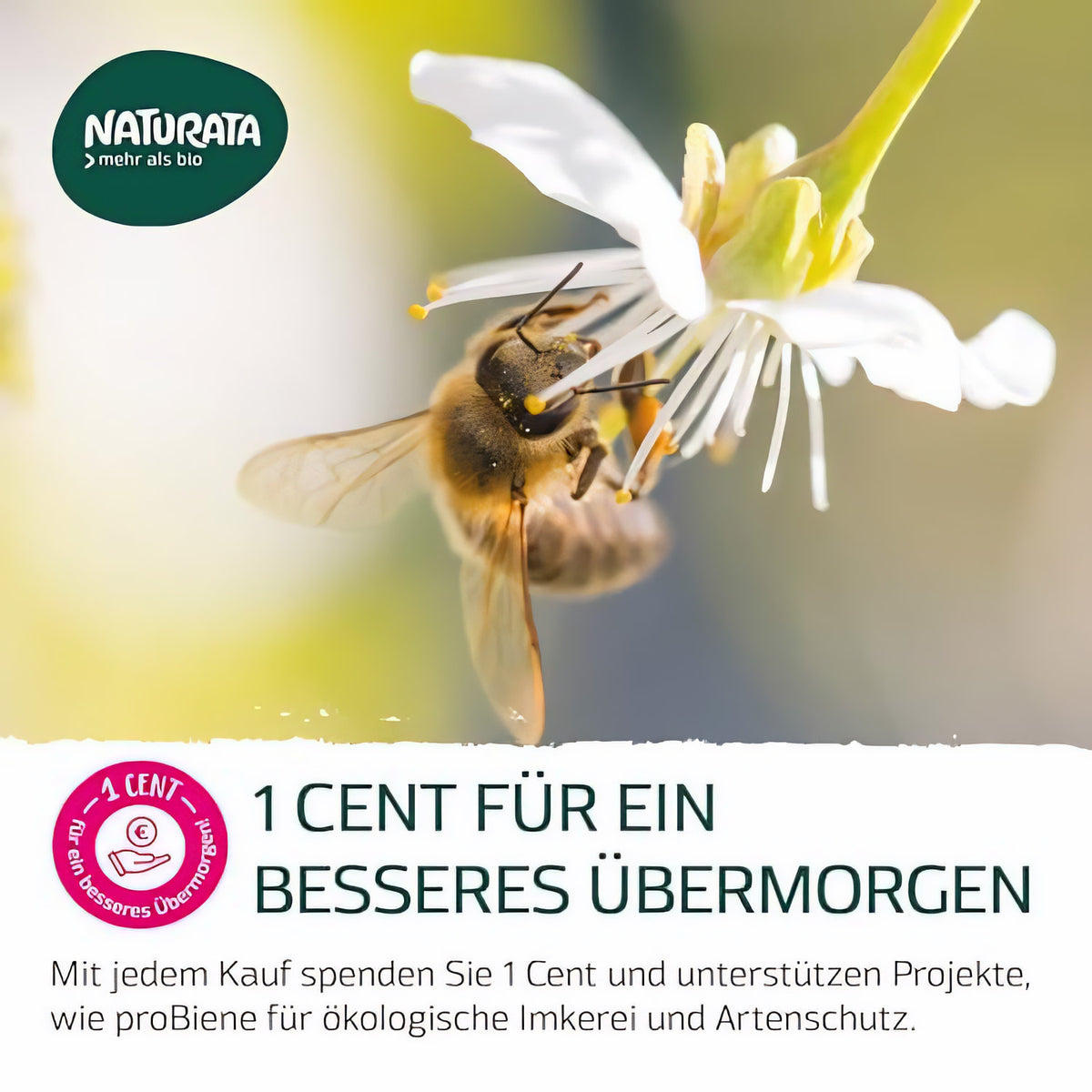 Naturata Atlantik Meersalz - Grob 500g — Abbildung 6