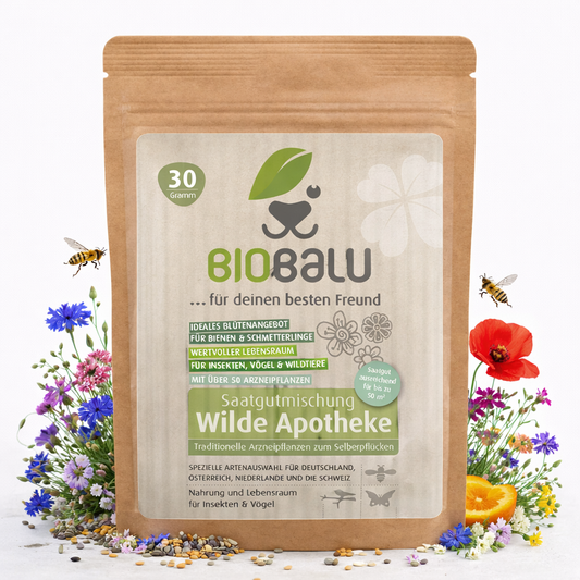 Biobalu Wilde Apotheke - 50 traditionelle Heilkräuter Samen 30g