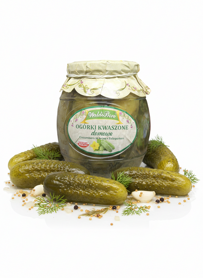 Eingelegte WaldiBen Faßsalzgurken in einem Glas, Teil des Kochprodukts, mit grünen Gurken und Salzlake sichtbar