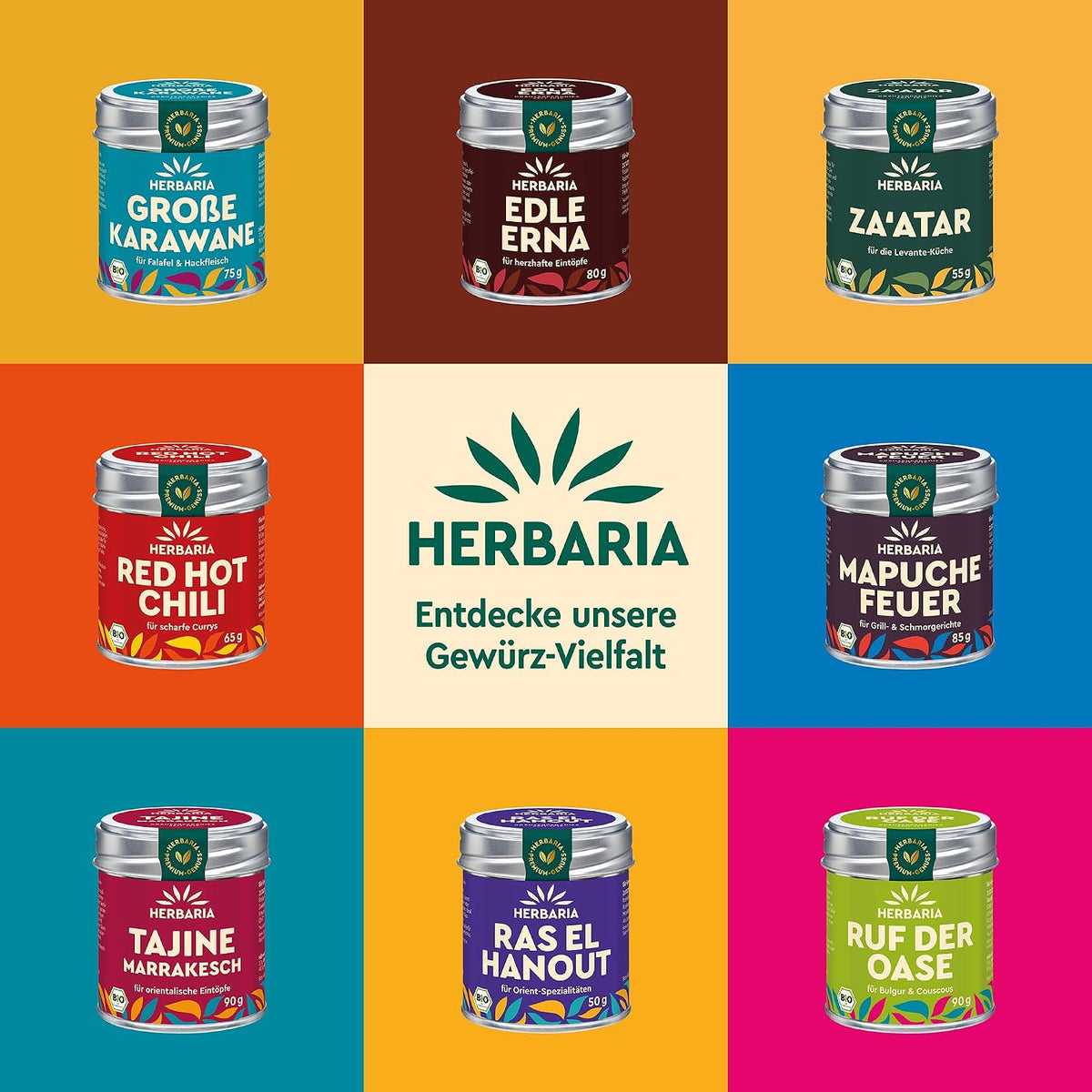 Verschiedene Herbaria Gewürzdosen, darunter Harissa, auf buntem Hintergrund in einem Raster angeordnet.