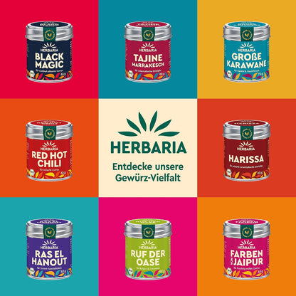 Verschiedene Herbaria Gewürzdosen, darunter Za'atar, auf buntem Hintergrund in quadratischer Anordnung.