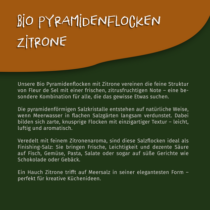 Tasty Pott Bio Pyramidenflocken Zitrone - im Beutel