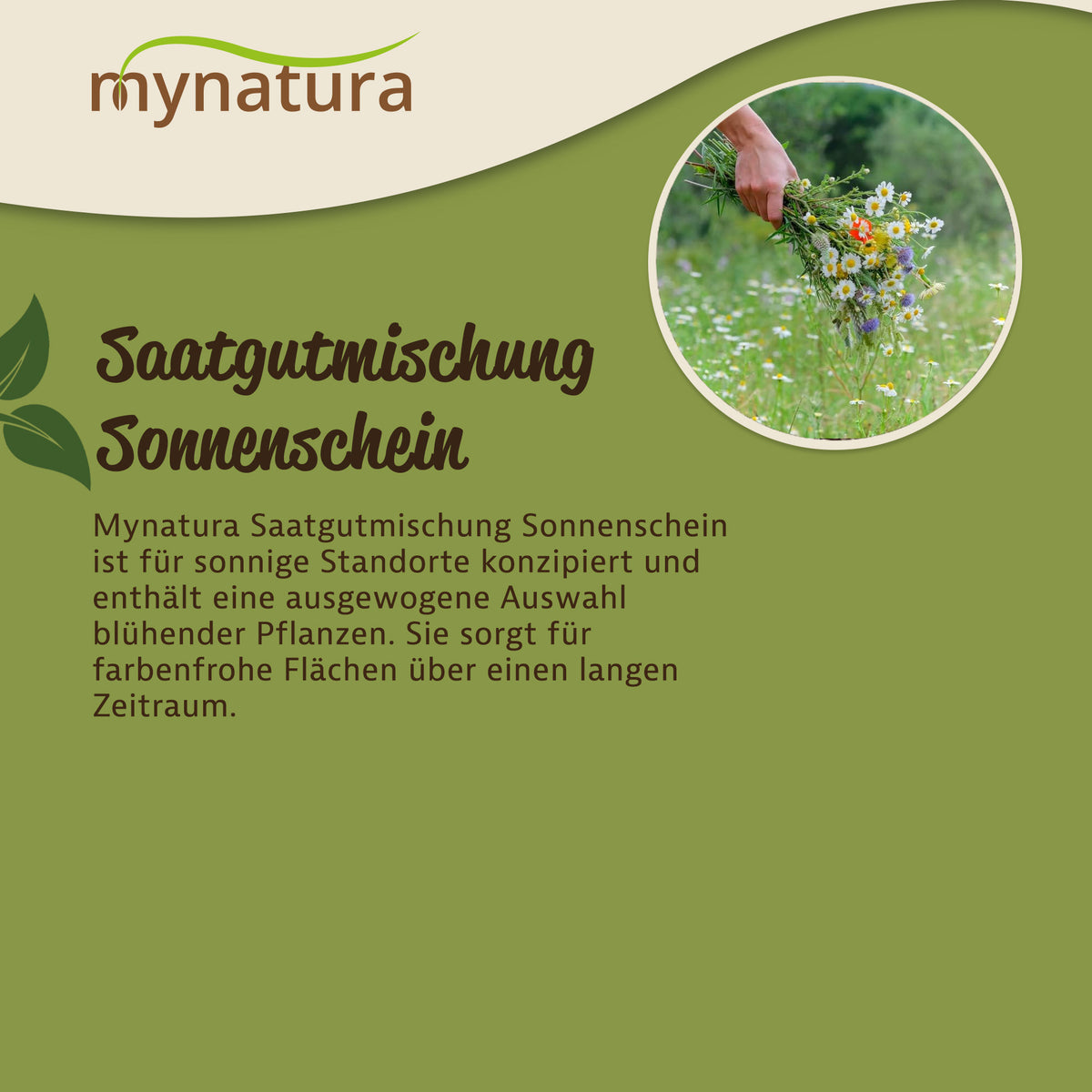 Mynatura Saatgutmischung Sonnenschein - 3x20g — Abbildung 3
