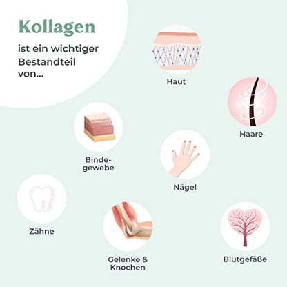 COSPHERA Vegan Collagen – Übersicht zu Kollagen mit Darstellungen von Haut, Bindegewebe, Knochen, Gelenken und Zähnen