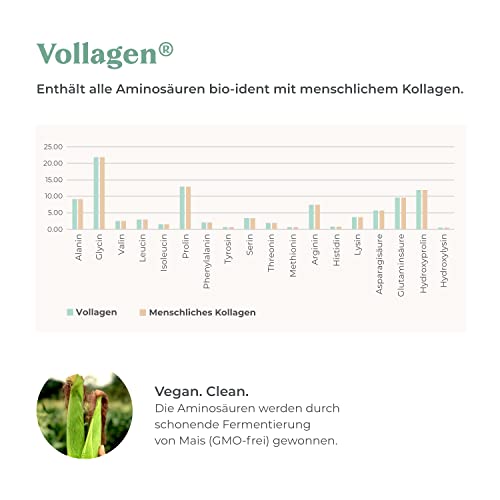 COSPHERA Vegan Collagen – Vollagen® mit Übersicht der enthaltenen Aminosäuren, vegan und clean 