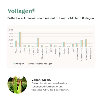 COSPHERA Vegan Collagen – Vollagen® mit Übersicht der enthaltenen Aminosäuren, vegan und clean 