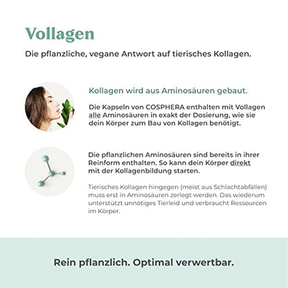 COSPHERA Vegan Collagen – Erklärung zu Vollagen® als veganem Aminosäuren-Komplex auf Basis von Maisfermentation